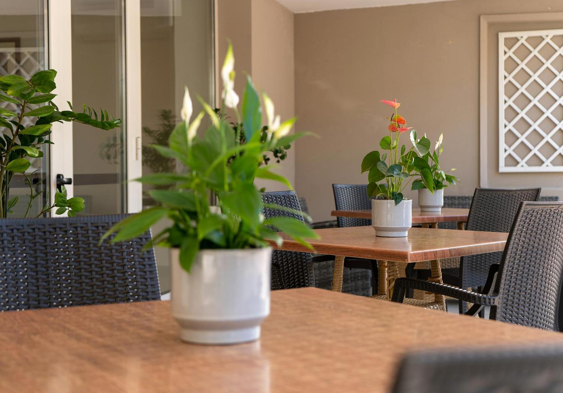 Hotel Carmen Riccione Eksteriør billede